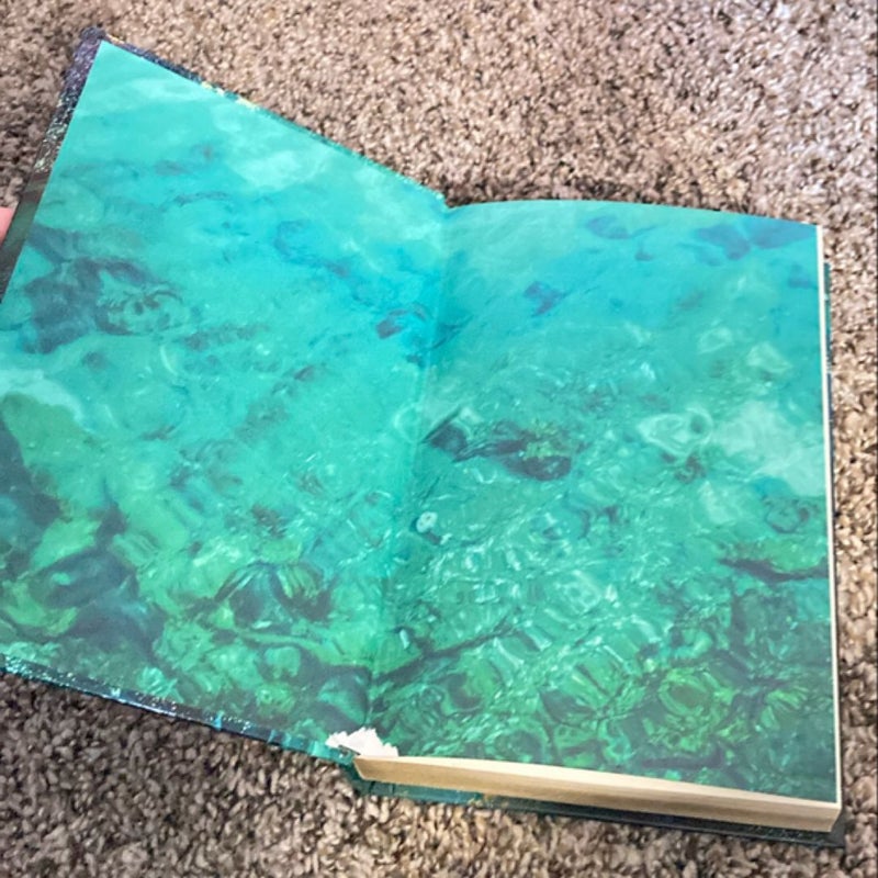 Skin of the Sea (signed Owlcrate copy) 