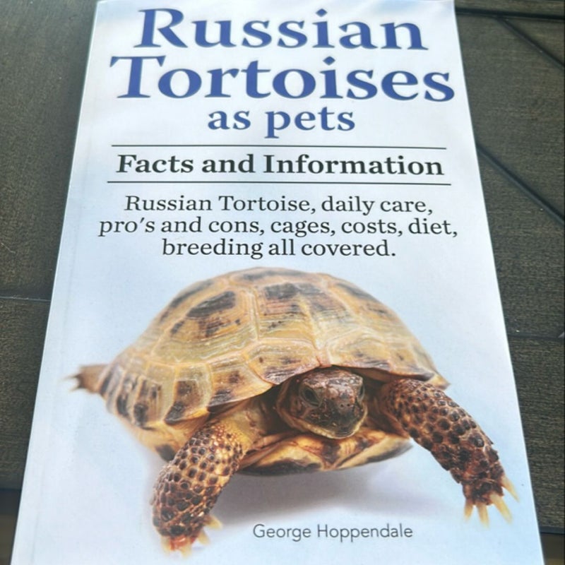 Russian Tortoises As Pets. Russian Tortoise