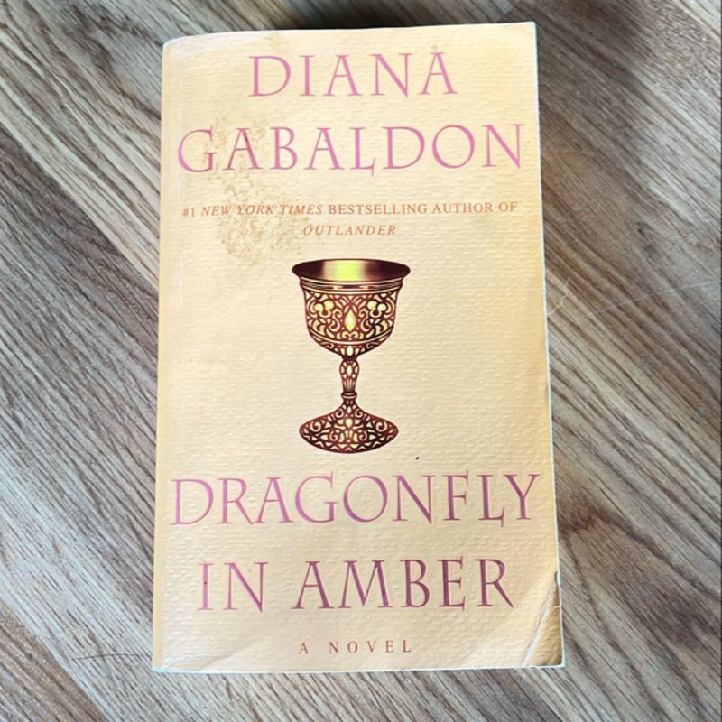Dragonfly in Amber
