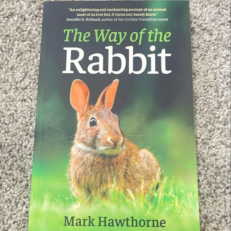 The Way of the Rabbit