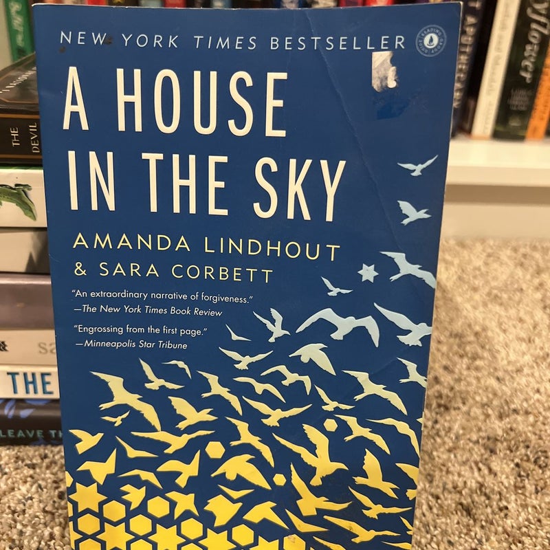 A House in the Sky