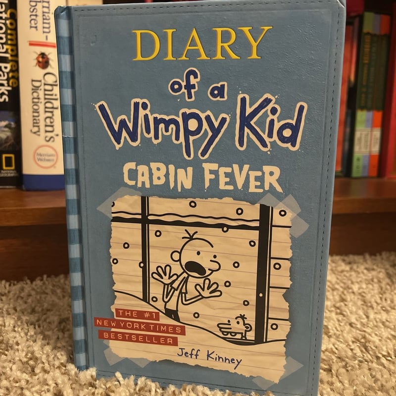 Diary Of A Wimpy Kid Book 6