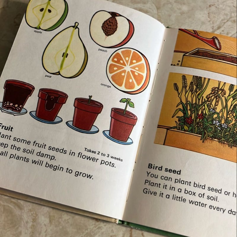 Growing Things Indoors