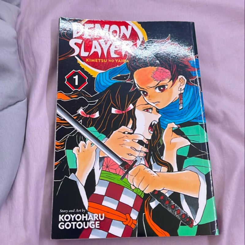 Demon Slayer: Kimetsu No Yaiba, Vol. 1