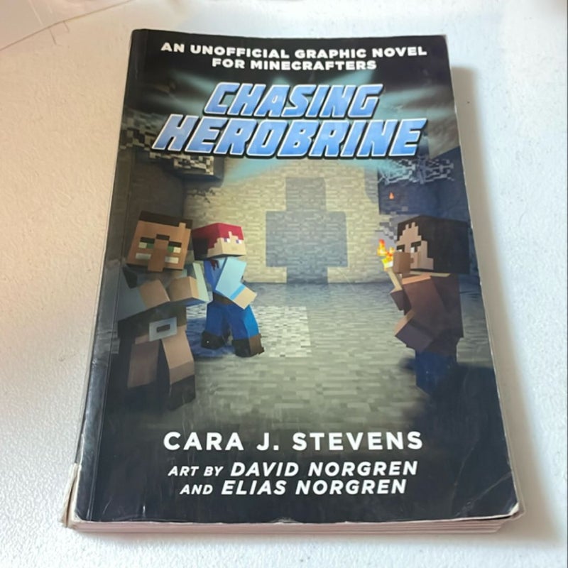 Chasing Herobrine