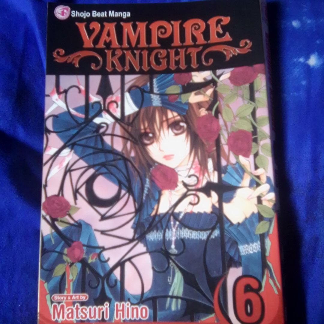 Vampire Knight, Vol. 6