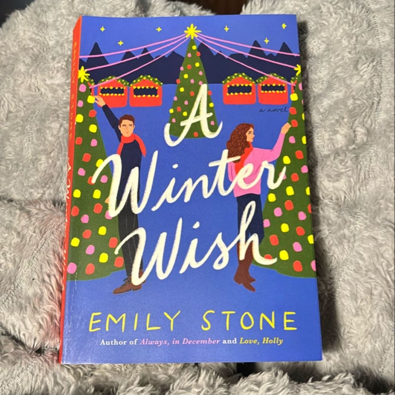 A Winter Wish