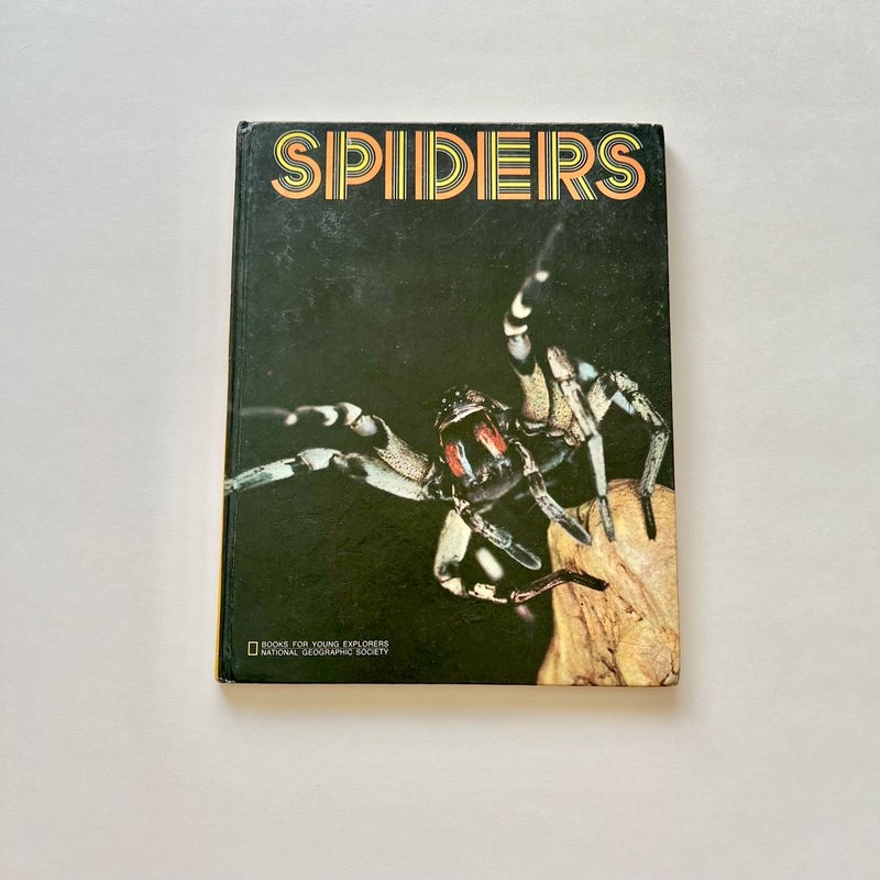 Spiders