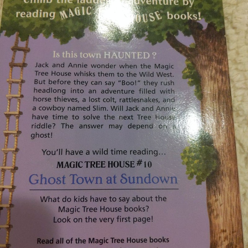 Magic Tree House Lot #10, #24 and #30