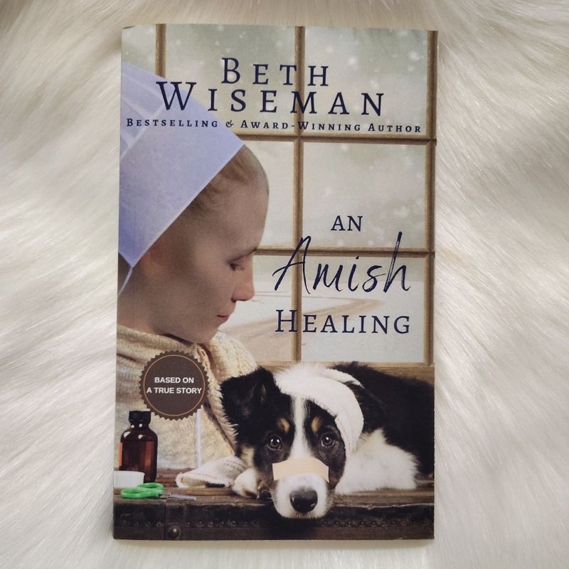 An Amish Healing (a Romance)