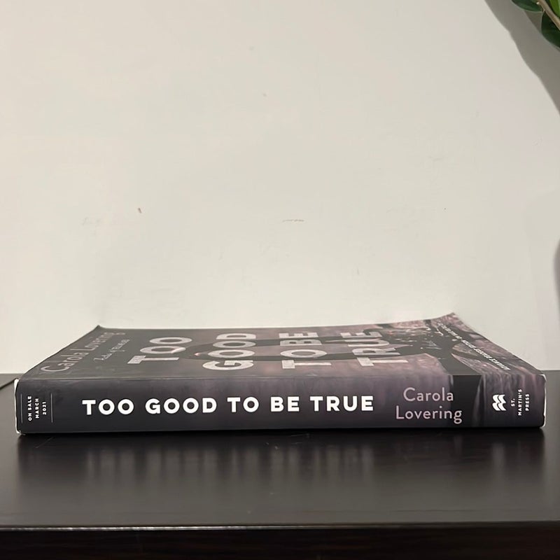 Too Good to Be True (ARC) 