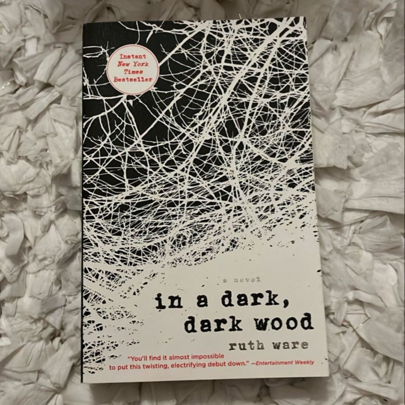 In a Dark, Dark Wood