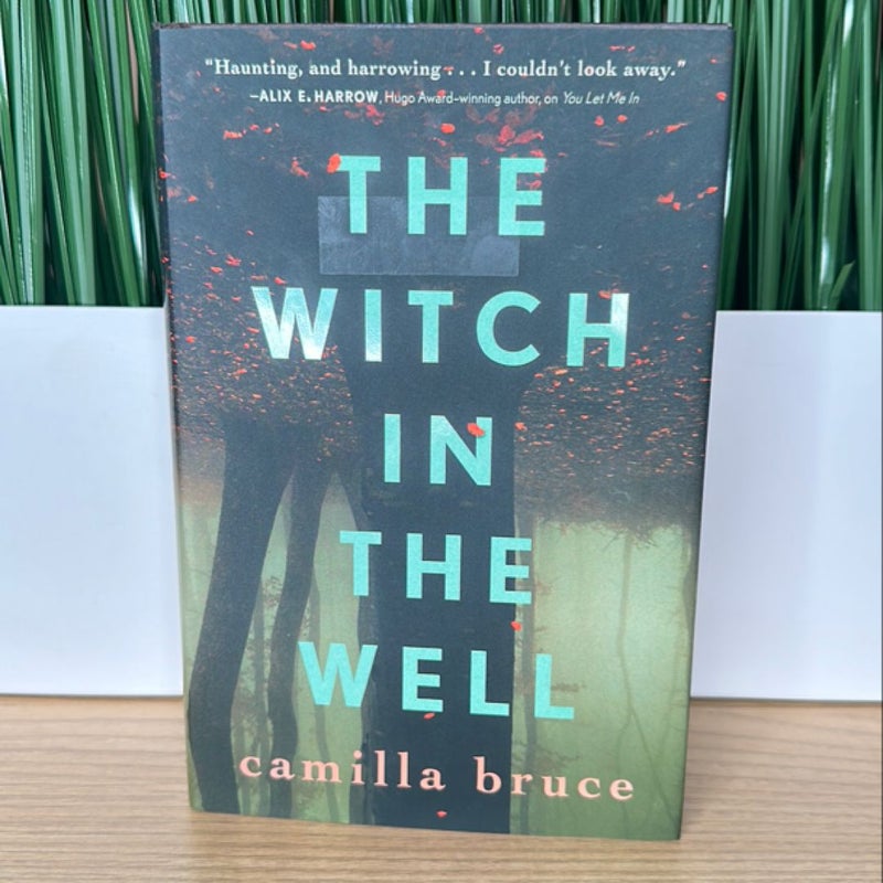 The Witch in the Well