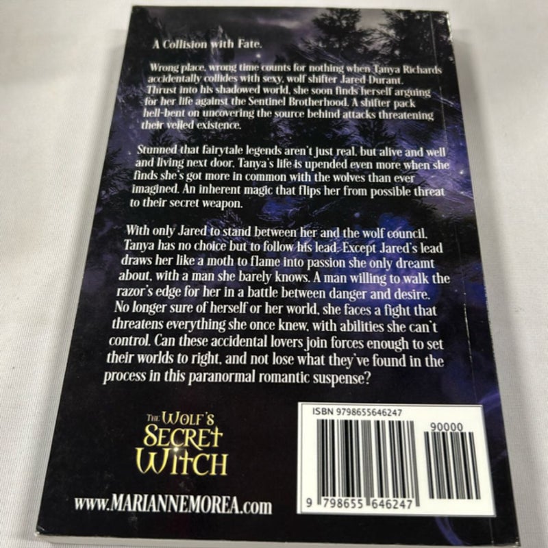 The Wolf's Secret Witch