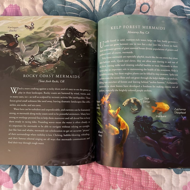 A Field Guide To Mermaids