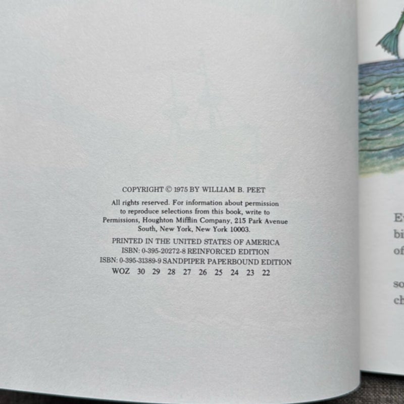 Cyrus the Unsinkable Sea Serpent