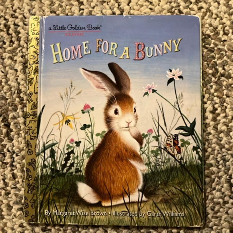 Home for a Bunny