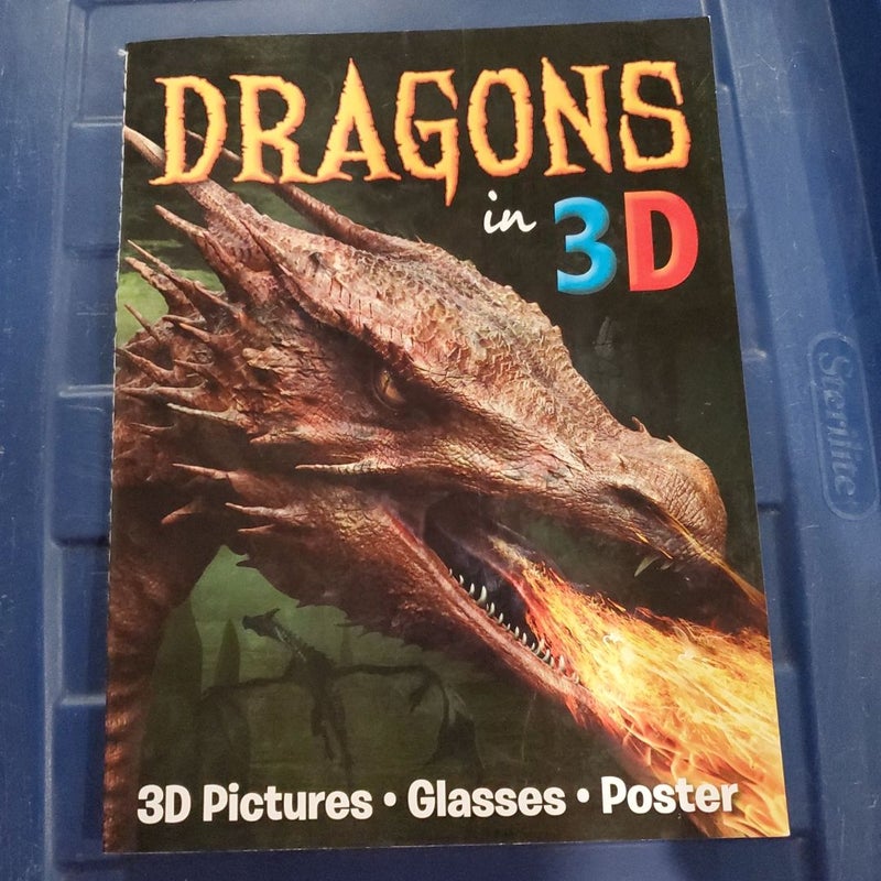 Dragons in 3D