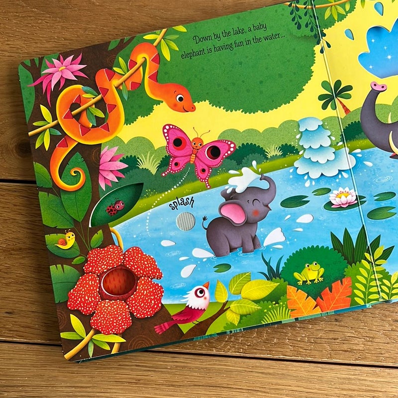 Jungle Sounds - Usborne Sounds Book for Children