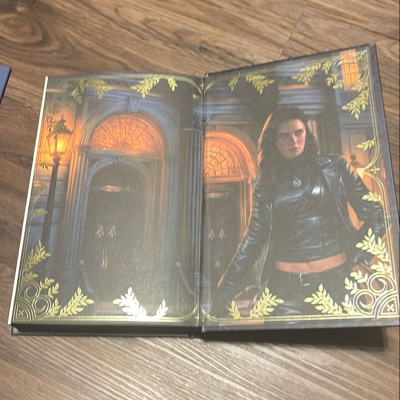 The Wren in the Holly Library (Fairyloot)