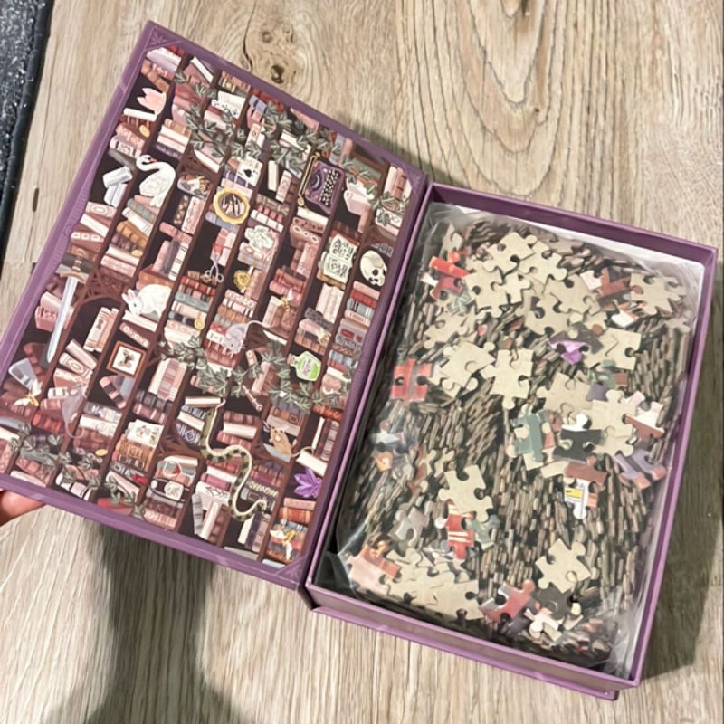 The Dark Academia Bookcase Puzzle
