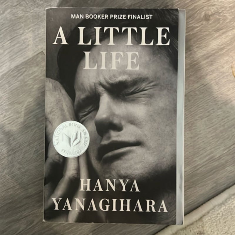 A Little Life
