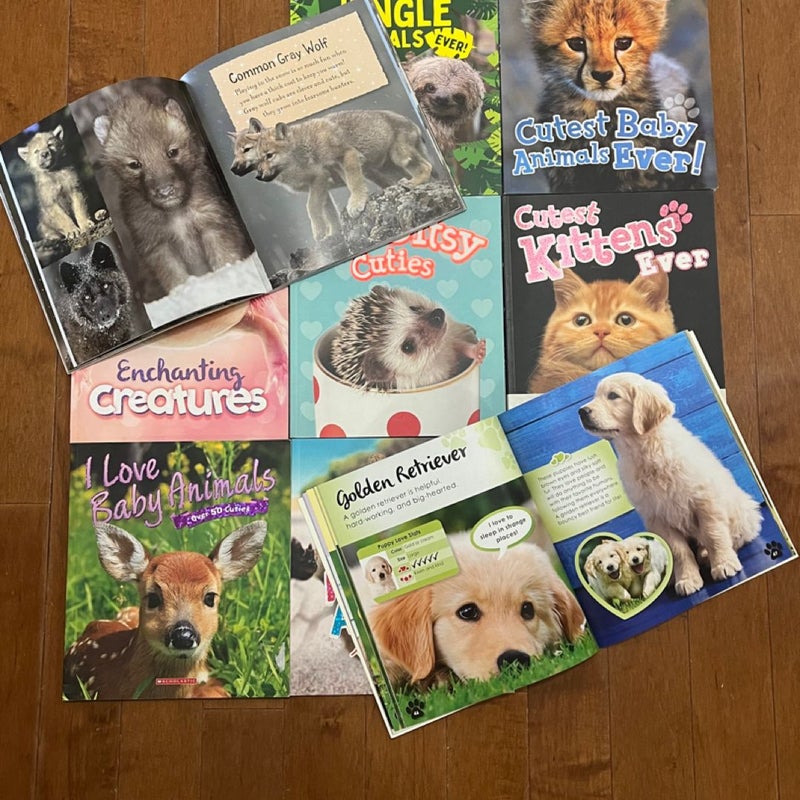 Animal Book Bundle