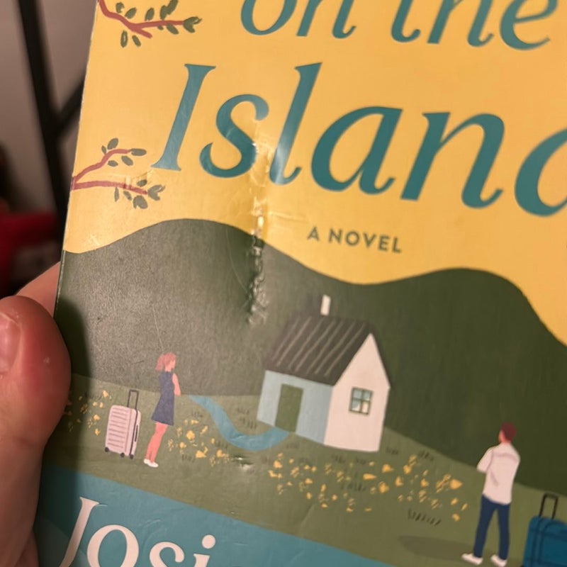 One Night on the Island