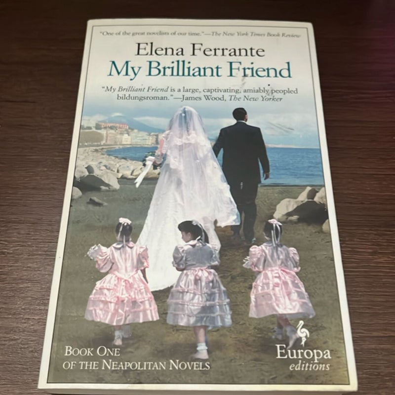 My Brilliant Friend