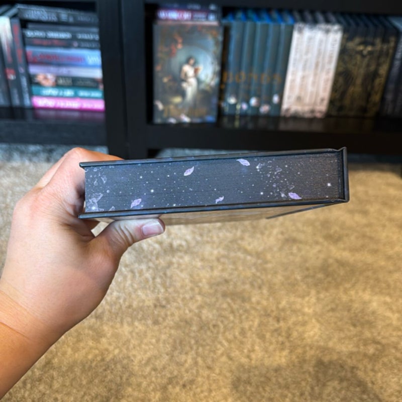 Rise of the Cinder Fae Moonlight Book Box edition