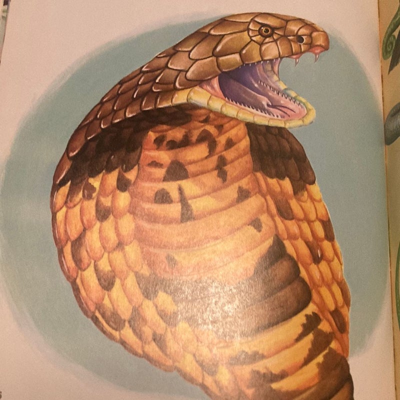 The Golden Book of Snakes and Other Reptiles