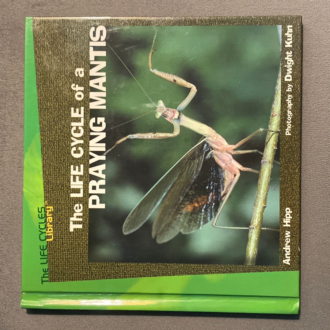The Life Cycle of a Praying Mantis by Andrew Hipp, Hardcover | Pangobooks