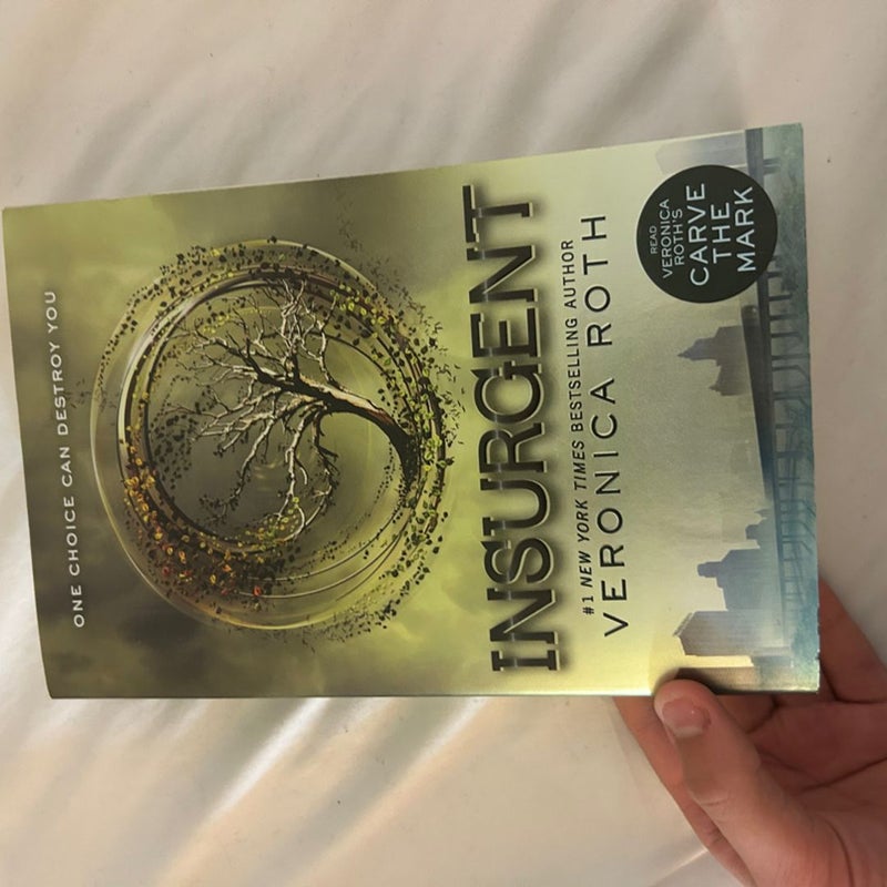 Divergent Series 1-4