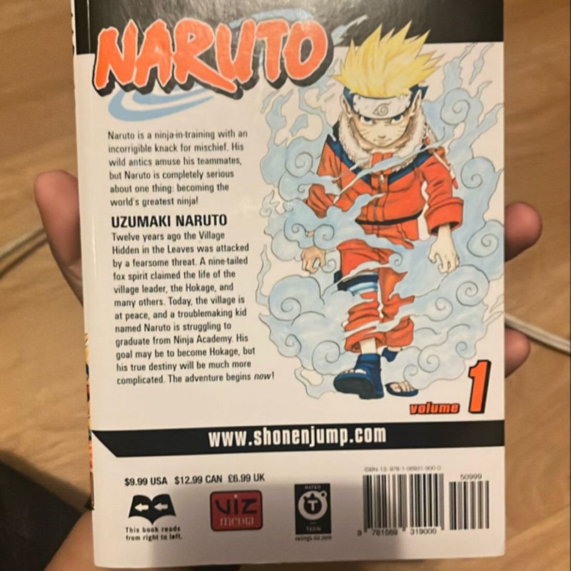 Naruto, Vol. 1