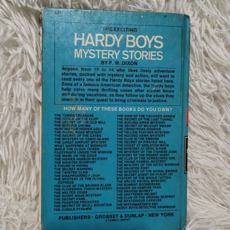 Hardy Boys 38: Mystery at Devil's Paw