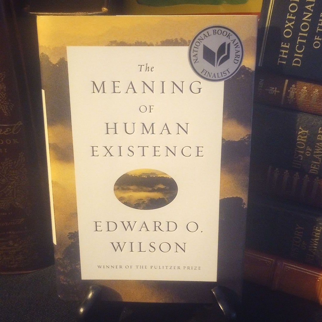 The Meaning of Human Existence