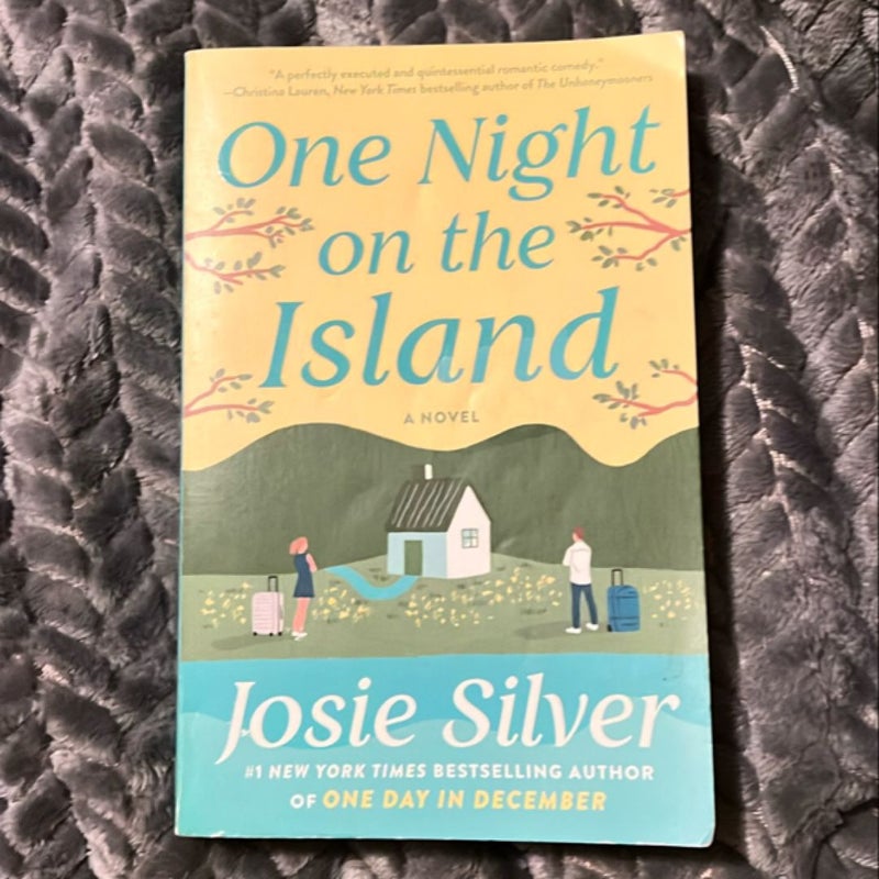 One Night on the Island