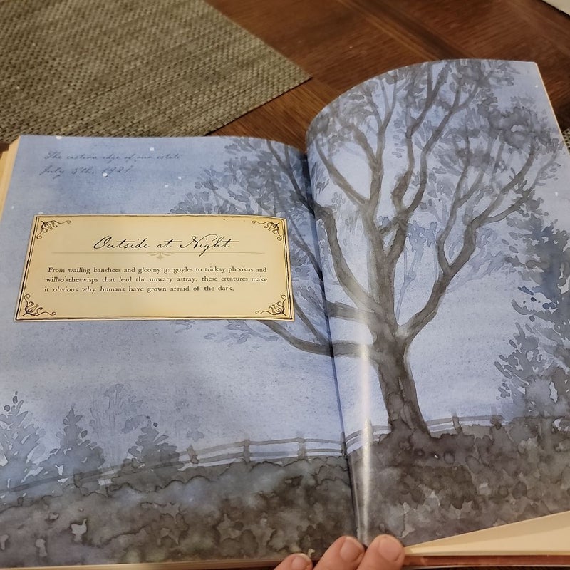 Arthur Spiderwick's Field Guide to the Fantastical World Around You