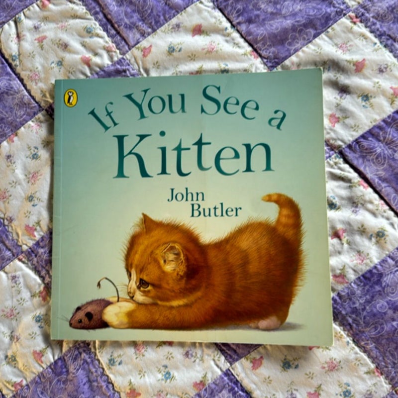 If You See a Kitten