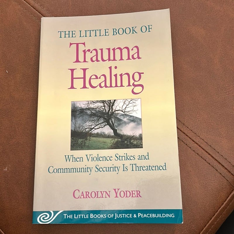 Little Book of Trauma Healing