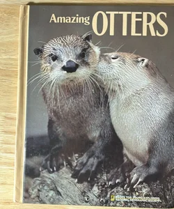 Amazing Otter