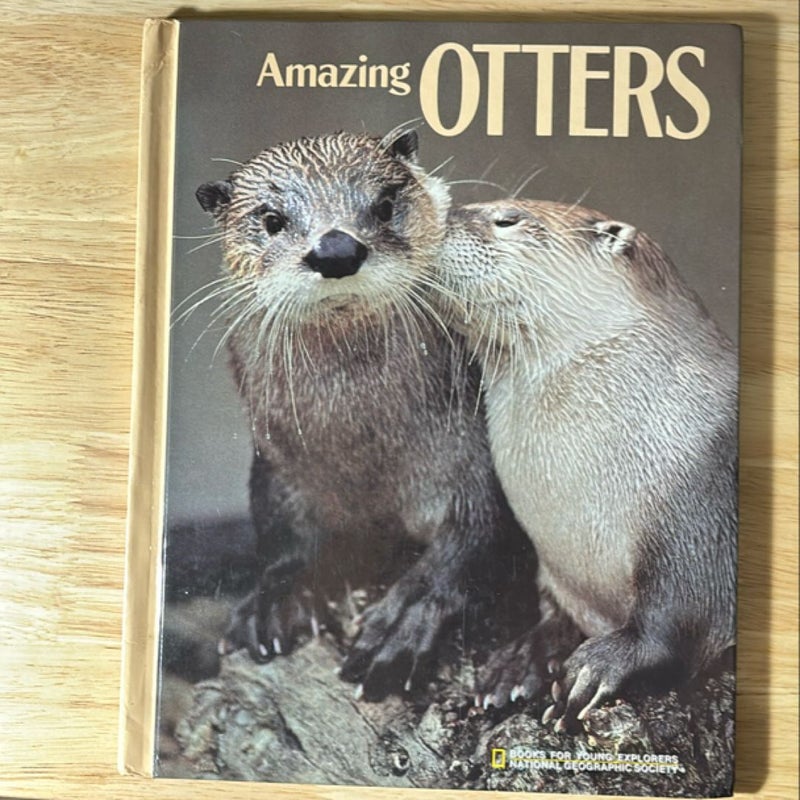 Amazing Otter