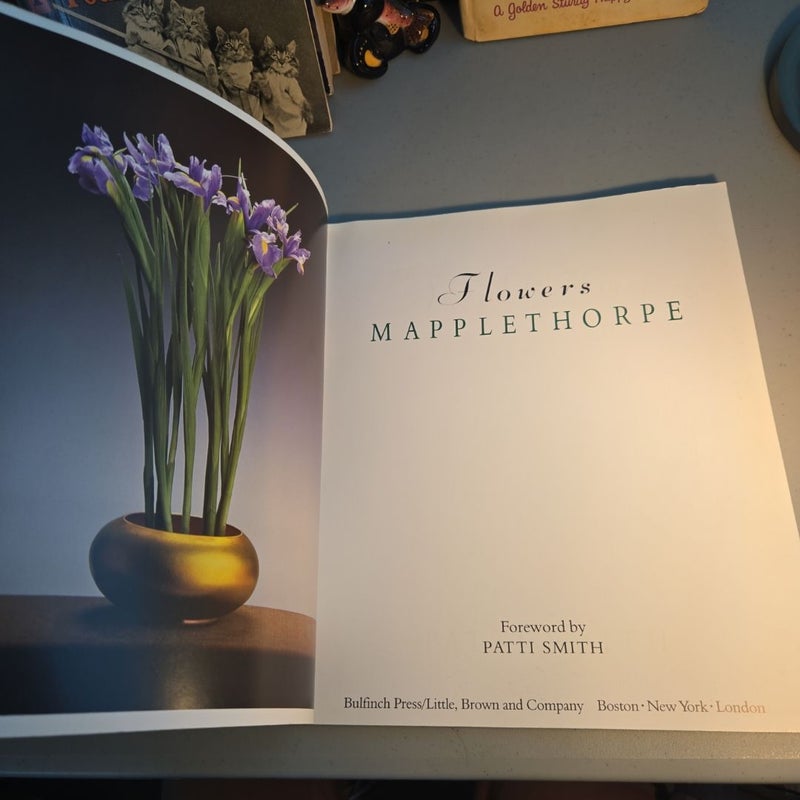 Mapplethorpe: the Complete Flowers