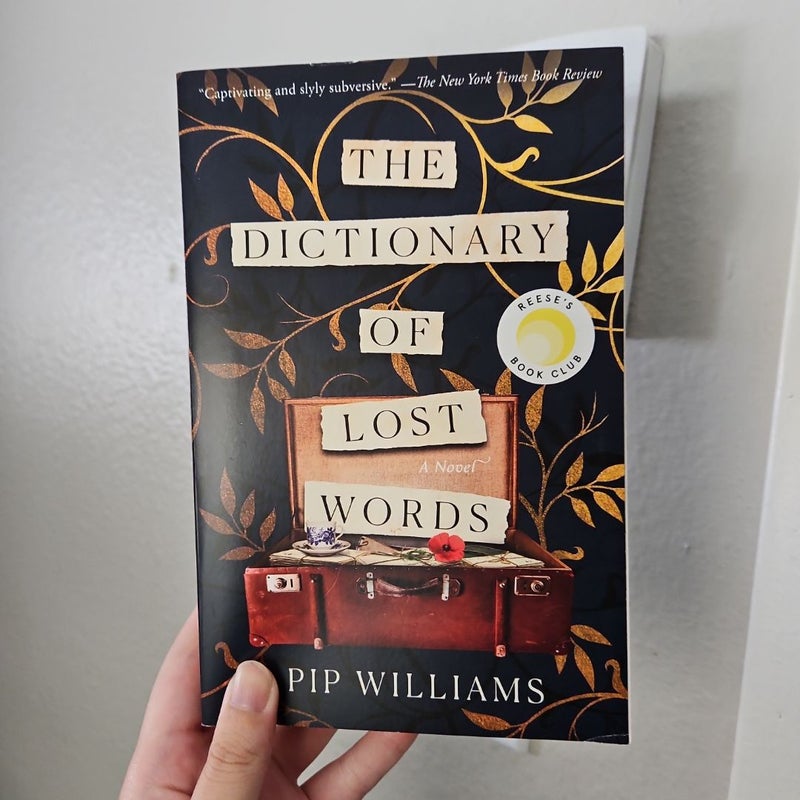 The Dictionary of Lost Words