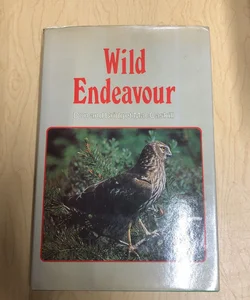 Wild Endeavor