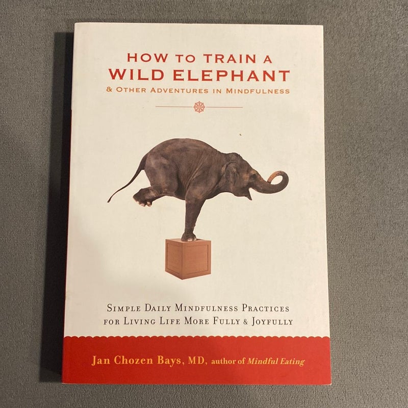 How to Train a Wild Elephant