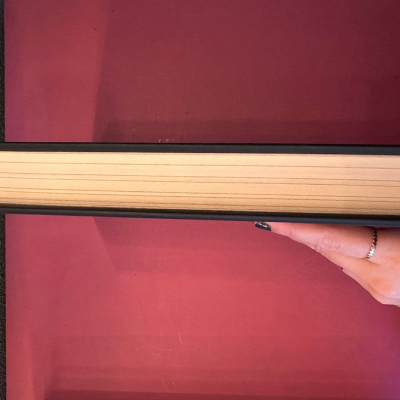 The Southern Book Club’s Guide To Slaying Vampires