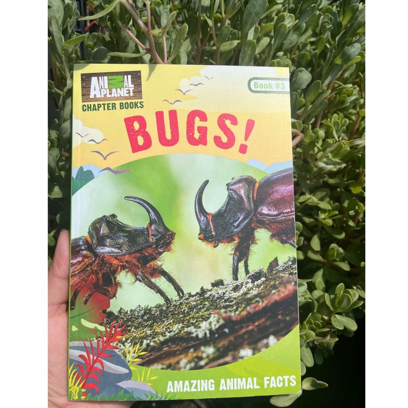 Bugs!