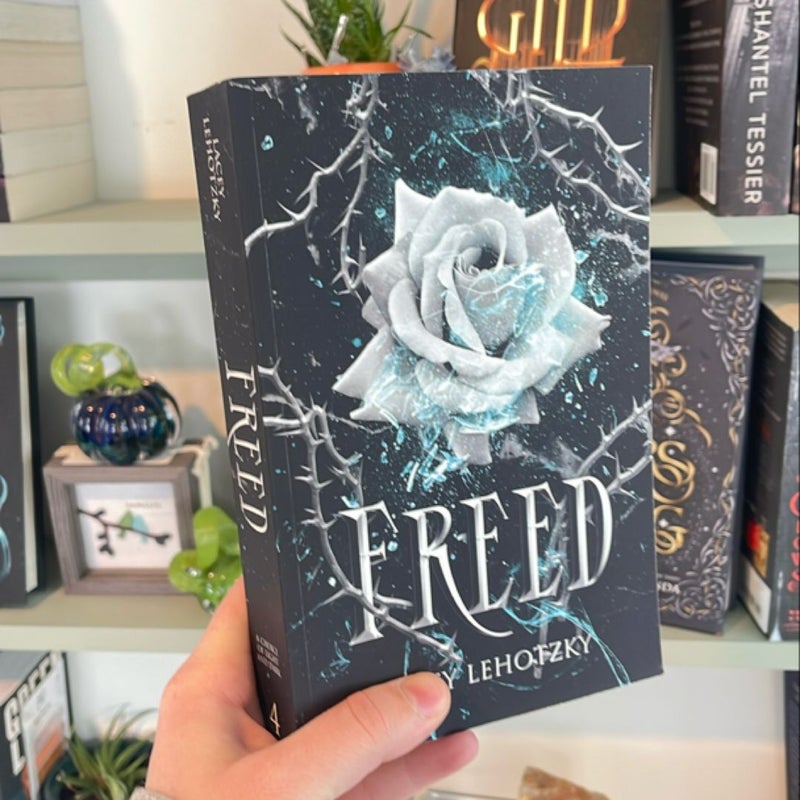 Chained Series (3 signed!!!) 