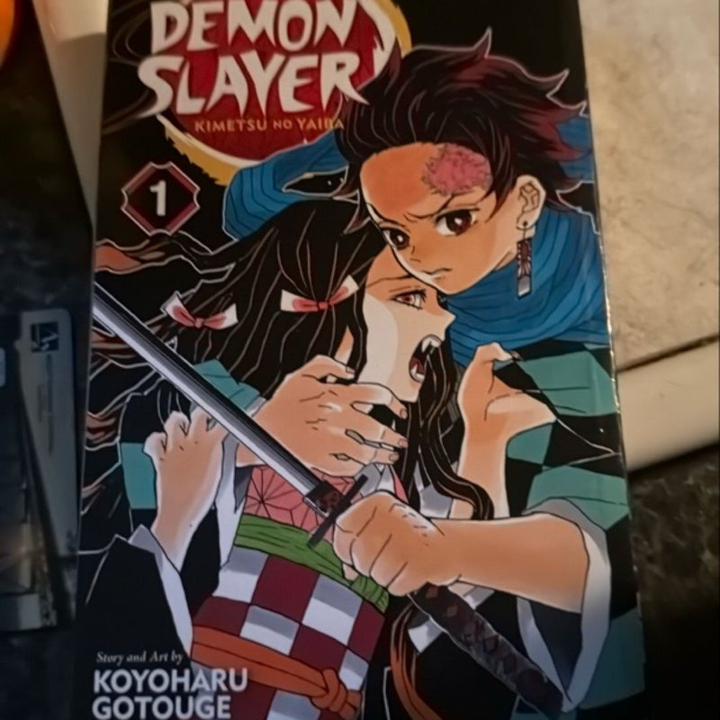 Demon Slayer: Kimetsu No Yaiba, Vol. 1